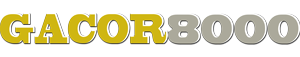 gacor 8000